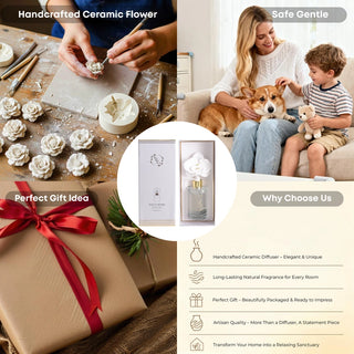 Orchid Flower Diffuser Gift Set