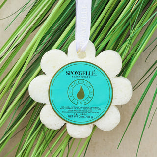 Spongellé Beach Grass Wild Flower Buffer - mint packaging on beach grass