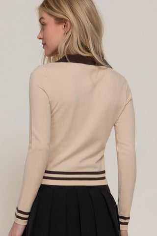 Brown Long Sleeve Stripe Polo Sweater